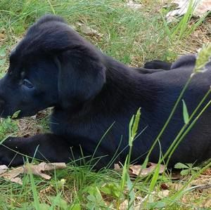 Meet your Posher, Elaine